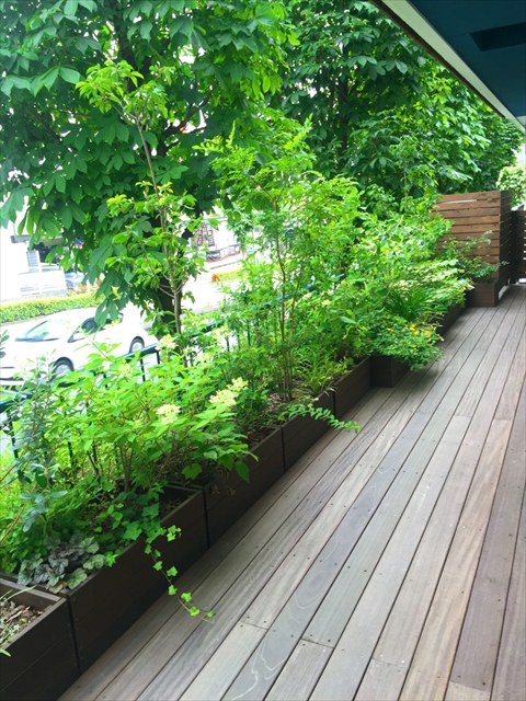庭づくりという職業 ブログ リフォーム リノベーション 新築ならスタイル工房