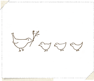 birds