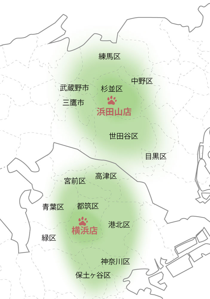 施工エリア